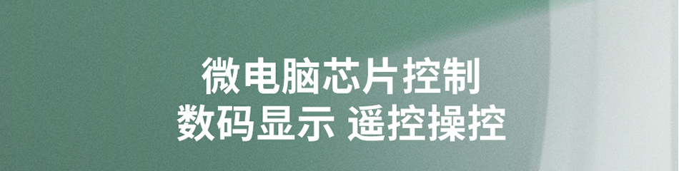 双工位遥控焊锡烟雾净化器